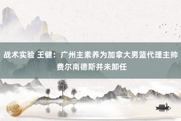 战术实验 王健：广州主素养为加拿大男篮代理主帅 费尔南德斯并未卸任