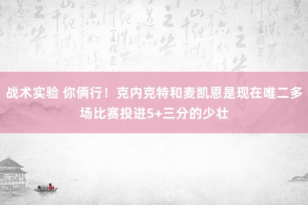 战术实验 你俩行！克内克特和麦凯恩是现在唯二多场比赛投进5+三分的少壮