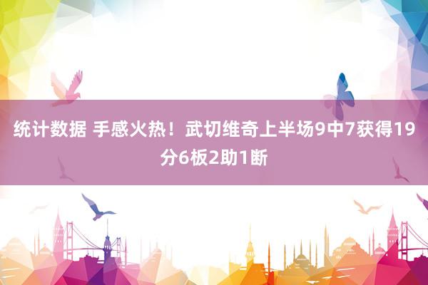 统计数据 手感火热！武切维奇上半场9中7获得19分6板2助1断