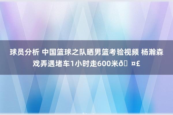 球员分析 中国篮球之队晒男篮考验视频 杨瀚森戏弄遇堵车1小时走600米🤣