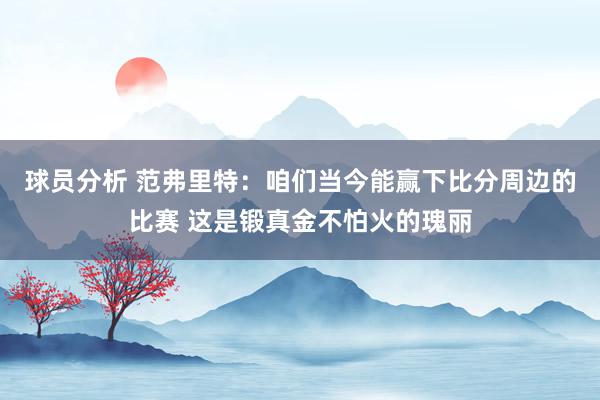 球员分析 范弗里特：咱们当今能赢下比分周边的比赛 这是锻真金不怕火的瑰丽