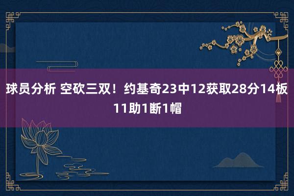 球员分析 空砍三双！约基奇23中12获取28分14板11助1断1帽