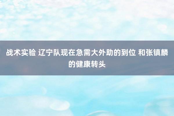 战术实验 辽宁队现在急需大外助的到位 和张镇麟的健康转头