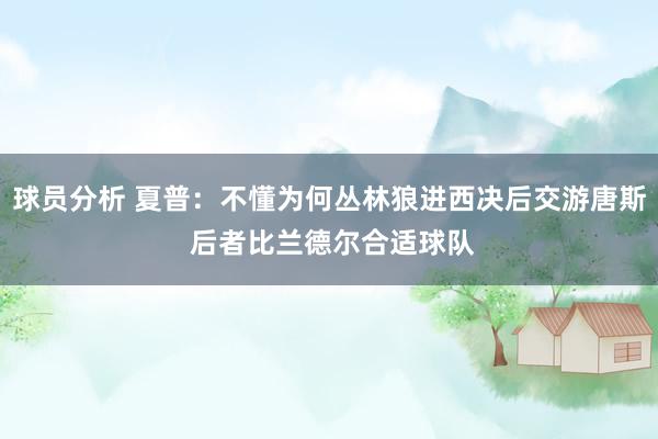 球员分析 夏普：不懂为何丛林狼进西决后交游唐斯 后者比兰德尔合适球队