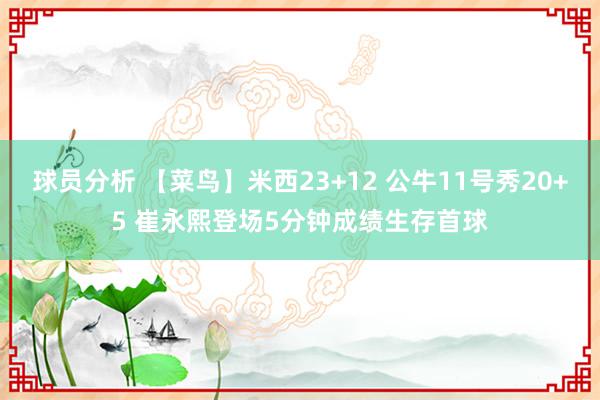 球员分析 【菜鸟】米西23+12 公牛11号秀20+5 崔永熙登场5分钟成绩生存首球