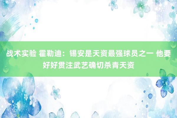 战术实验 霍勒迪：锡安是天资最强球员之一 他要好好贯注武艺确切杀青天资