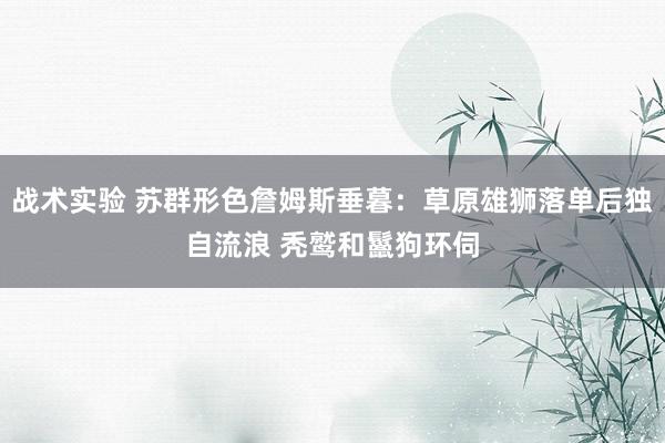 战术实验 苏群形色詹姆斯垂暮：草原雄狮落单后独自流浪 秃鹫和鬣狗环伺