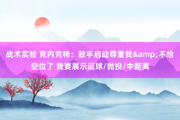 战术实验 克内克特：敌手启动尊重我&不给空位了 我要展示运球/抛投/中距离