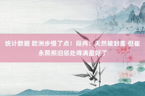 统计数据 欧洲步慢了点！段冉：天然被封盖 但崔永熙照旧惩处得满盈好了