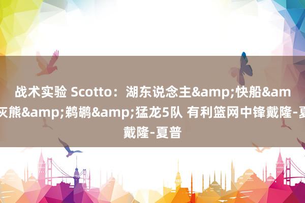 战术实验 Scotto：湖东说念主&快船&灰熊&鹈鹕&猛龙5队 有利篮网中锋戴隆-夏普