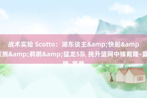 战术实验 Scotto：湖东谈主&快船&灰熊&鹈鹕&猛龙5队 挑升篮网中锋戴隆-夏普