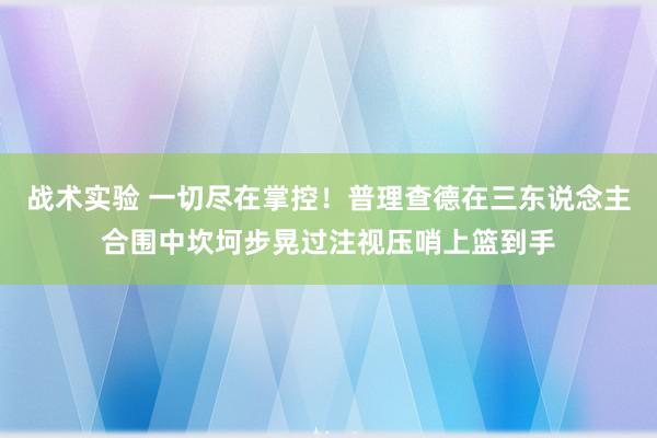 战术实验 一切尽在掌控！普理查德在三东说念主合围中坎坷步晃过注视压哨上篮到手