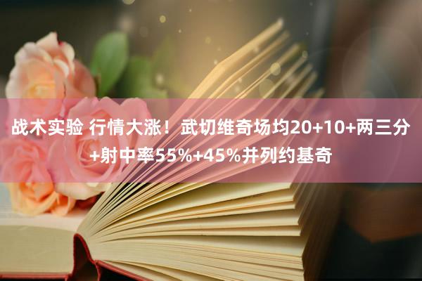 战术实验 行情大涨！武切维奇场均20+10+两三分+射中率55%+45%并列约基奇