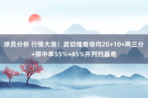 球员分析 行情大涨！武切维奇场均20+10+两三分+掷中率55%+45%并列约基奇