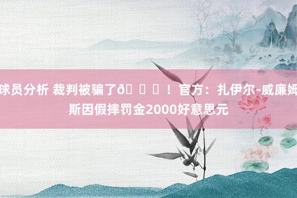 球员分析 裁判被骗了😅！官方：扎伊尔-威廉姆斯因假摔罚金2000好意思元